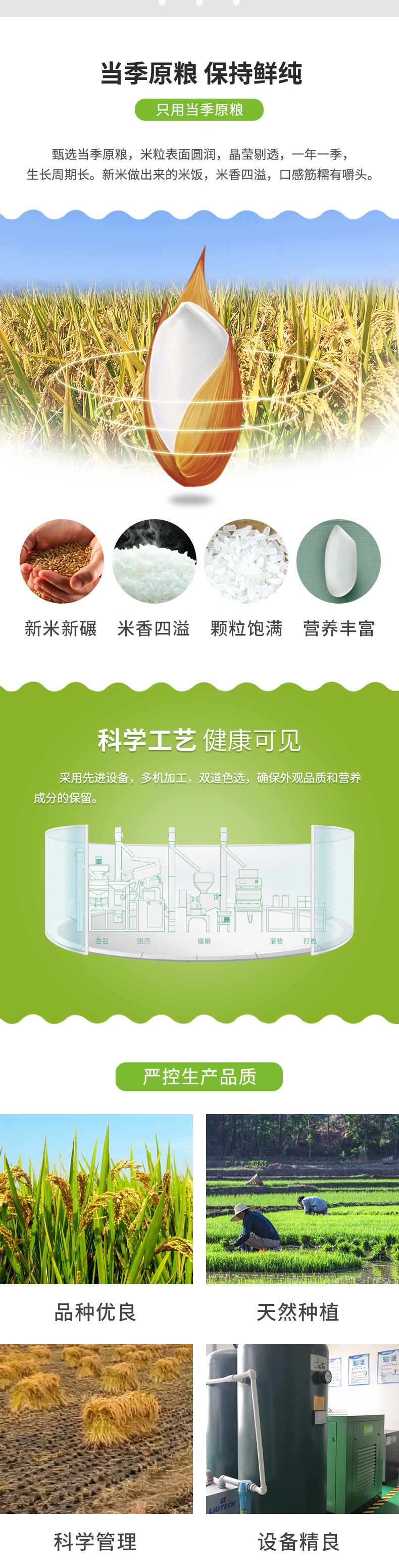 鲜香稻10kg_01_02.jpg