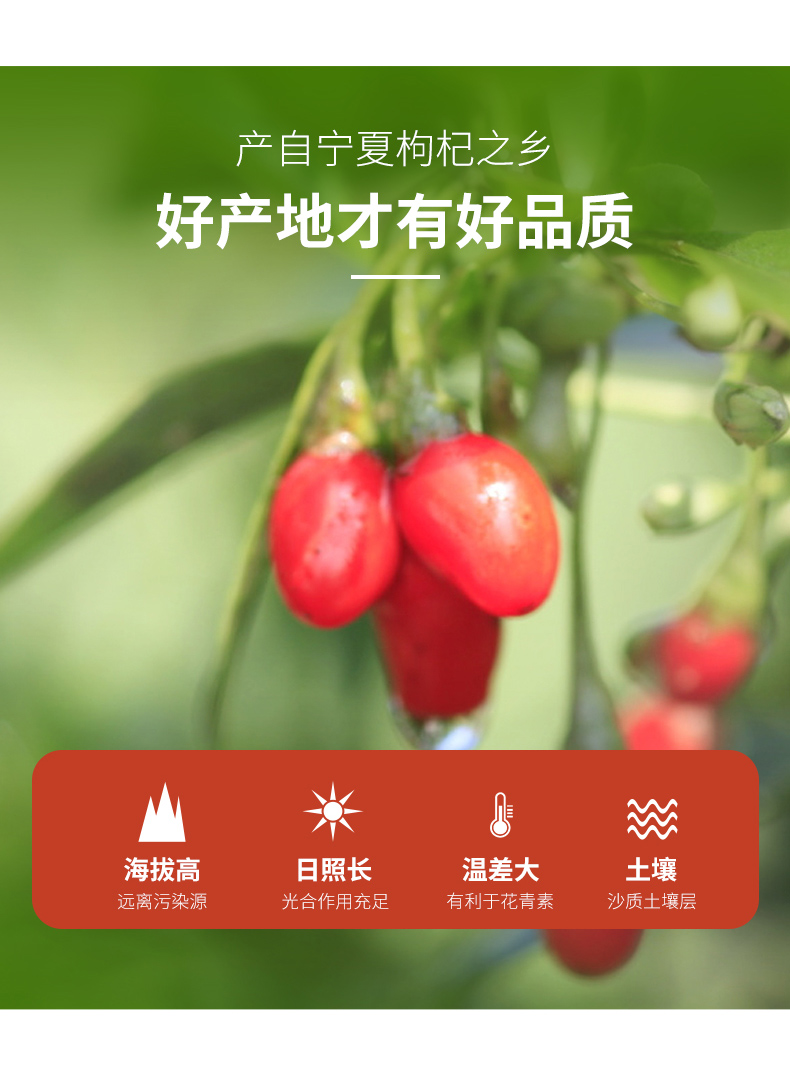 乐活绿动枸杞详情_04.jpg