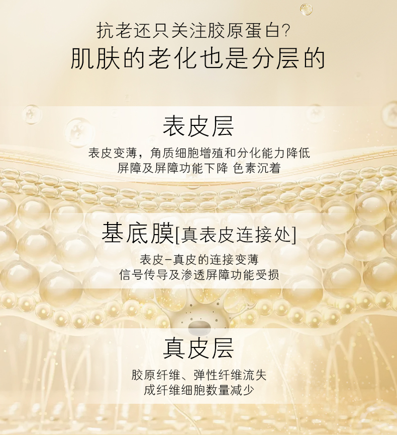 金桦抗面霜详情页_03.jpg