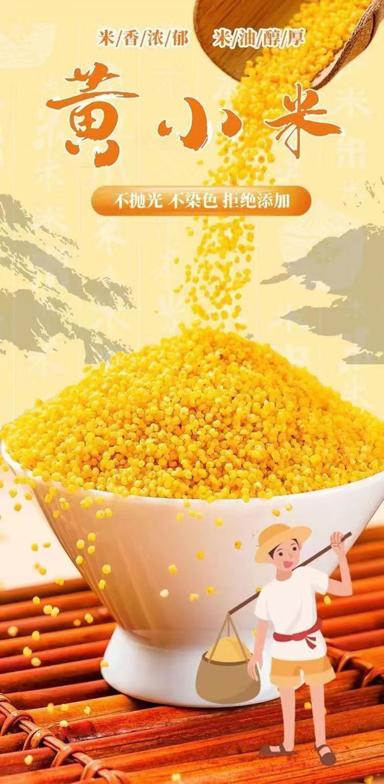 黄小米详1.jpg