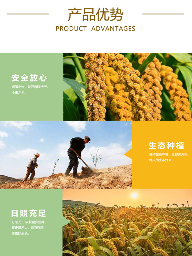 优势.jpg