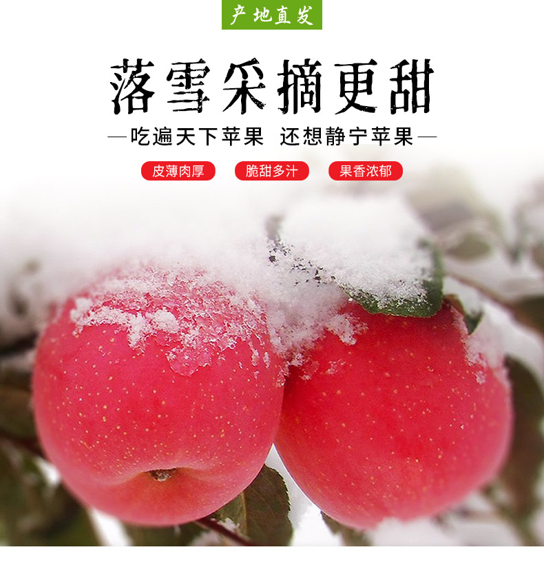 红富士苹果详情页第4套_01.jpg